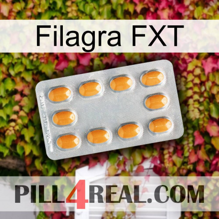 Filagra FXT cialis3